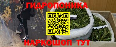 индика Балаково
