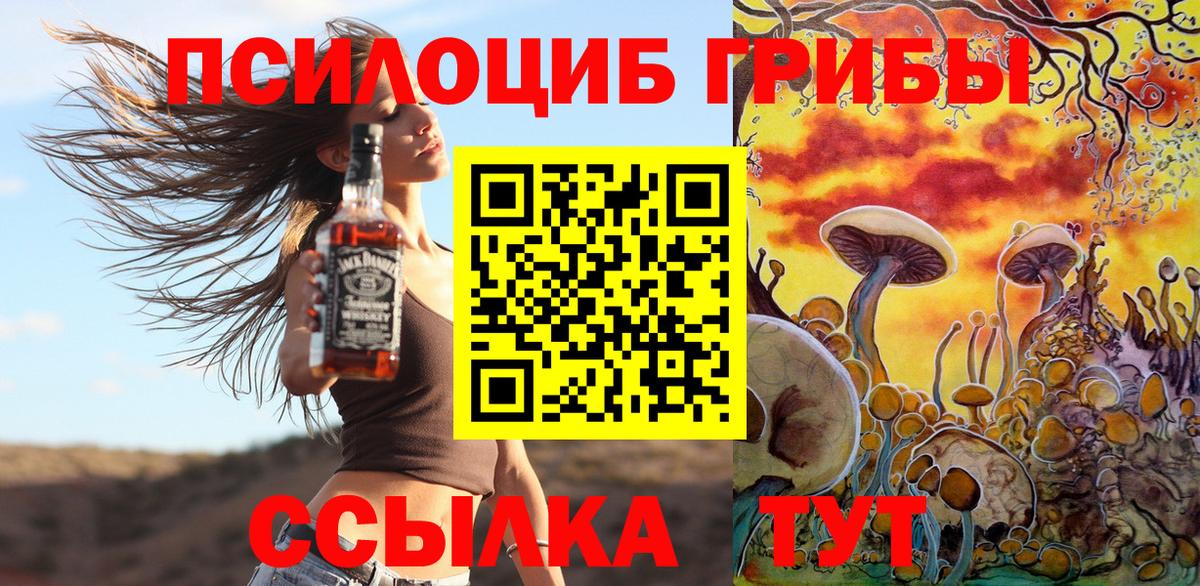 Псилоцибиновые грибы мицелий Дербент